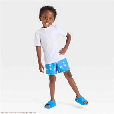 Toddler Boys' Skateboarding Flamingo Swim Set -Cat & Jack Blue 4T *SEE DEAL!!!*