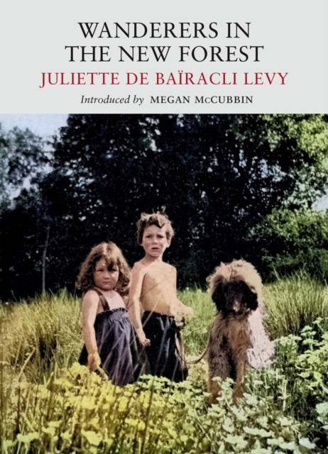 Wanderers in the New Forest by Juliette de Bairacli Levy (Paperback Book)