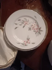 12 piece plate set with flowers. Fancy
