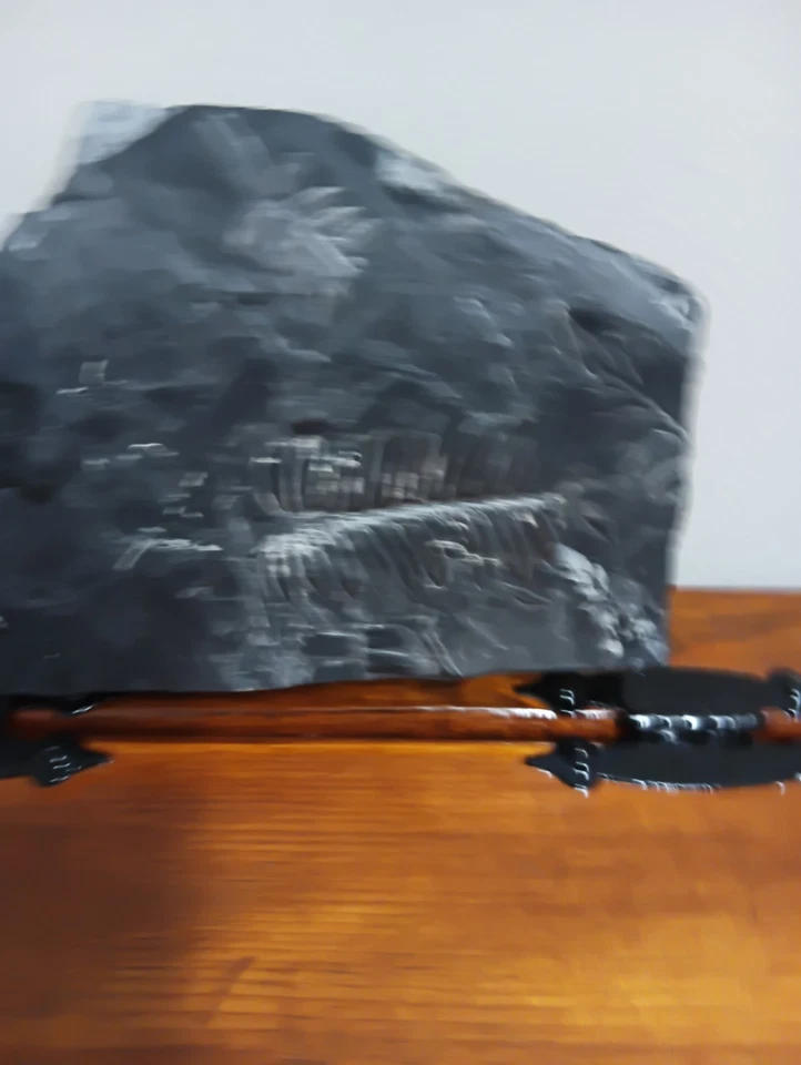 Slate Rock W/ Fossil Imprints(6.5"X5x3/4") - Image 4 of 4