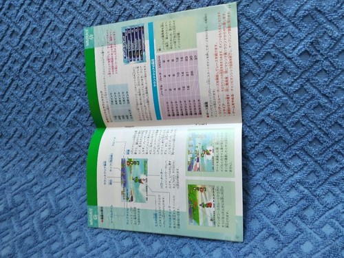 Wave Race N64 Manual - Excelente Estado, Versión Japonesa - Imagen 4 de 4