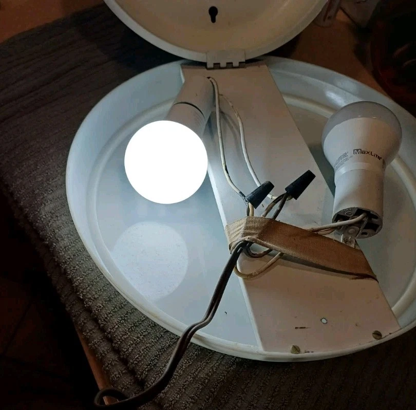 De Colección Reloj GRUEN Lámpara de Pared Redonda Letrero Luz Eléctrica Funciona 11" The Drake Line Foto 4 de 4