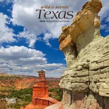 Texas Wild & Scenic 2024 7 x 14 Inch Monthly Mini Wall Calendar New/Sealed