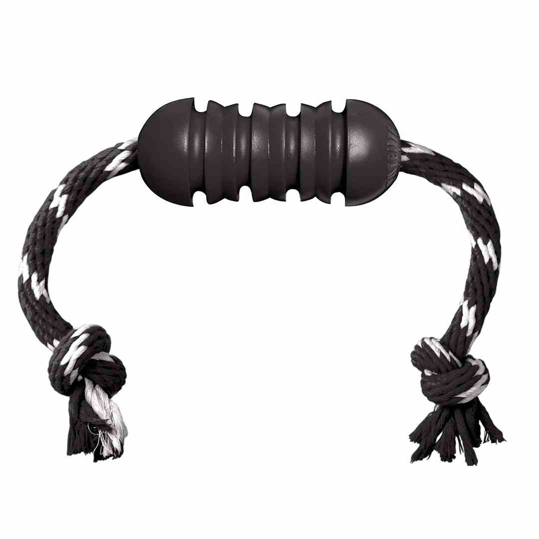 Kong Extreme Dental w/Rope Noir M corde mastication chien moyen