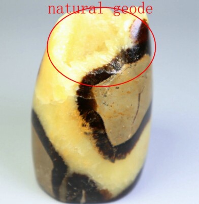 Natural Dragon Septarian Calcite Geode QUARTZ Crystal Free-form Stone Healing