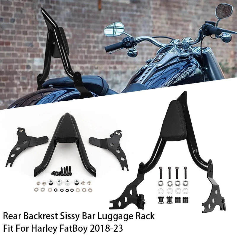 Respaldo de pasajero Sissy Bar desmontable con almohadilla apto para Harley FatBoy Breakout EE. UU. Foto 2 de 4