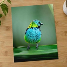 Colorful Bird Perched on Top of Green Leaf Photographic Art Print 7 Sizes