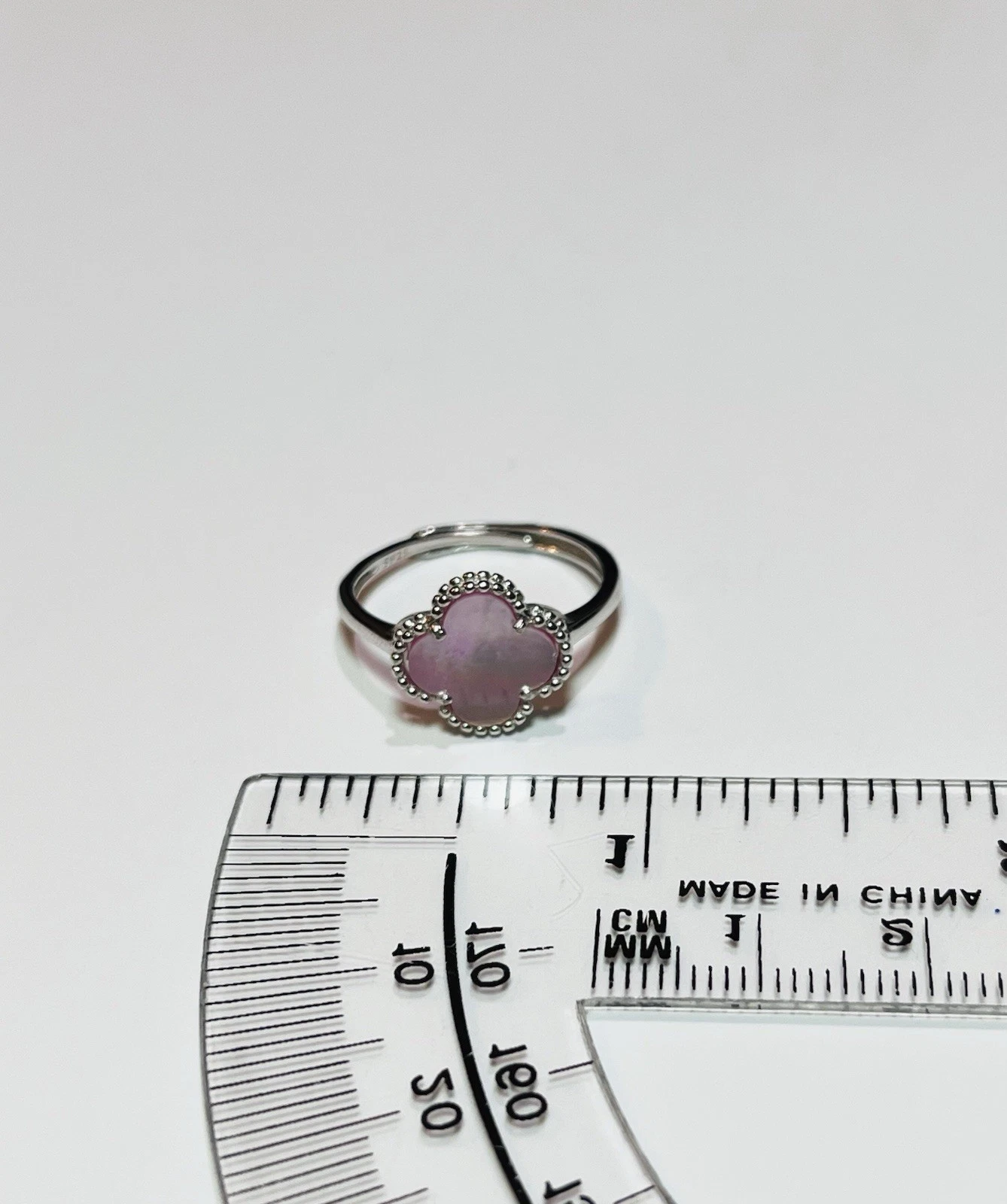 Picture 12 of 13
