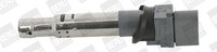 BorgWarner (Beru) ZSE041 ZüNdspule FüR Audi Skoda VW