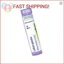 Natural 1M Ledum Palustre Pellets for Insect Bites & Bruising