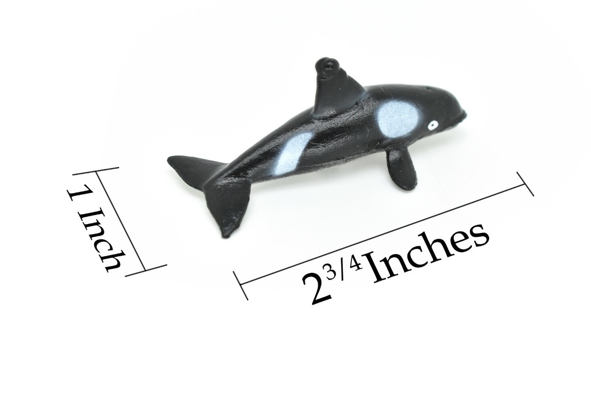 Killer Whale 完成品 MAJ12211.jpg?crop=center&