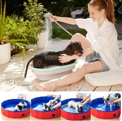 Faltbarer Hundepool PVC 58cm Durchmesser Wasserspiel für kleine Hunde - Bild 9 von 12