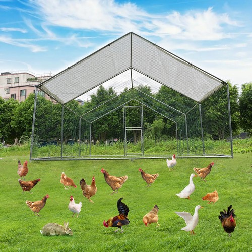 10x20x6.6 ft Large Metal Chicken Coop Walk-In Chicken Run Peaked Roof w/Cover - Picture 2 of 9