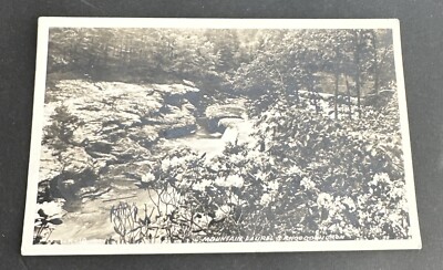 Postcard: RPPC Photo of a Creek with Mountain Laurel and Rhododendron