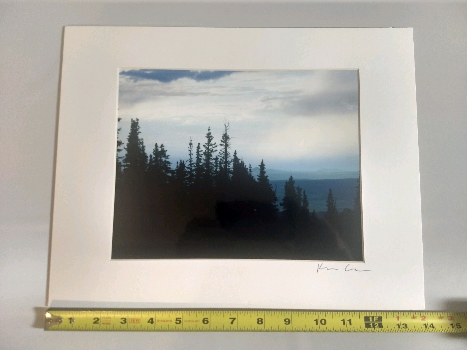 Picture 4 of 5