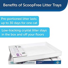 PetSafe ScoopFree Sensitive Disposable Crystal Cat Litter Tray, Pack of 6, 36 -