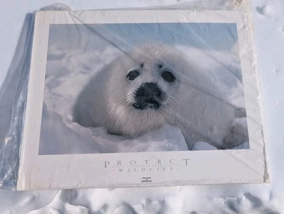 Bob Talbot Indiana Art Prints for sale | eBay