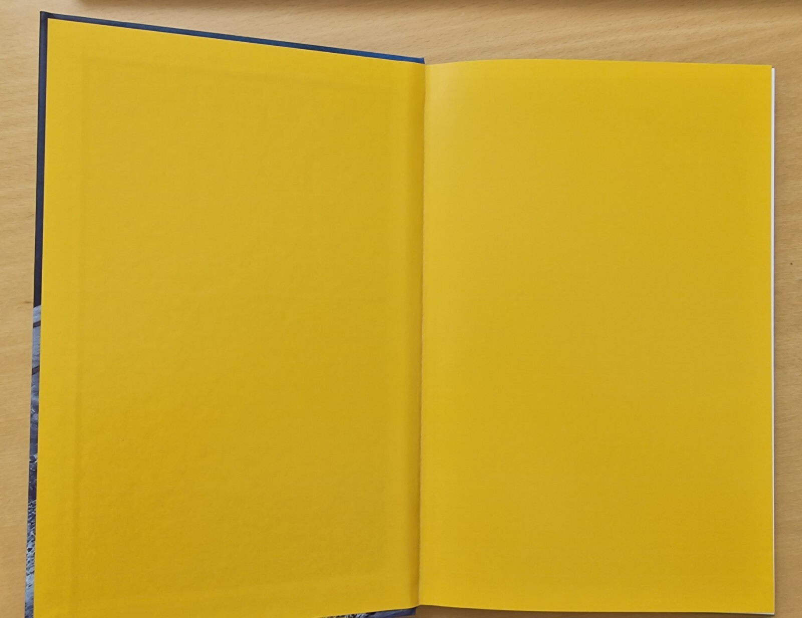 Thumbnail - Ein Schaf Fürs Leben Maritgen Matter Anke Faust Buch Oettinger Verlag