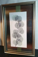 Metal Frame Eucalyptus Leaf X Ray Print Over Frosted Mirror Under Glass 11 x 17