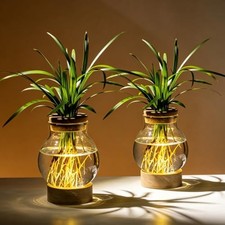 Propagation Stations, Plant Propagation Station with Light Base, Glass 2