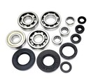 RT180 Engine Crank Shaft & Transmission Bearings & Seals Kit 90-98