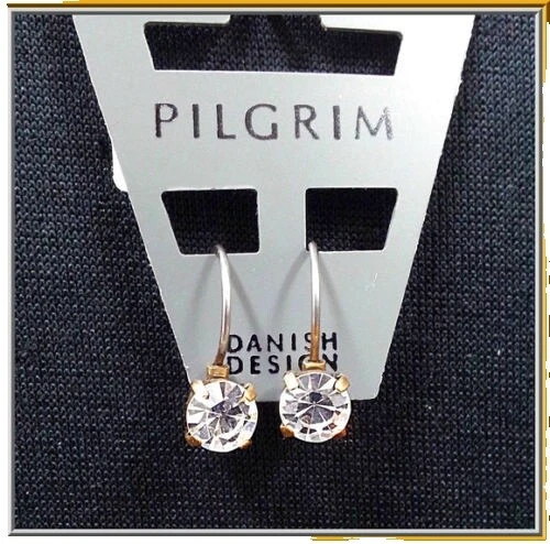 Pendientes de Moda Pilgrim Plateado