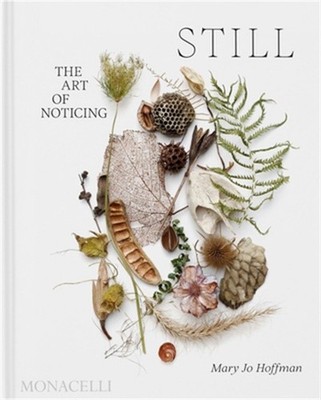 Still: The Art of Noticing (Hardback or Cased Book)