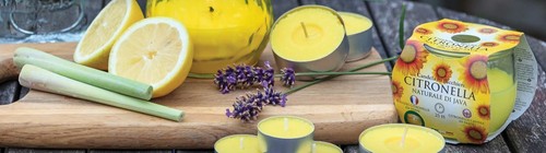 Citronella Jar candle Prices Candles insect fly mosquito repellent lemon outdoor - Picture 21 of 25