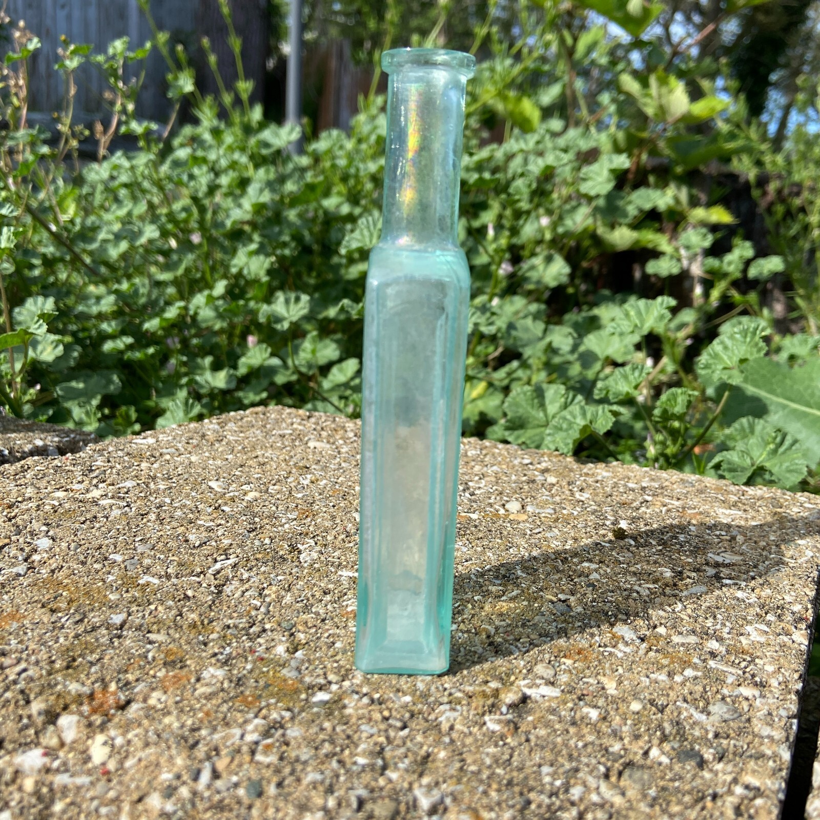 Picture 4 of 13