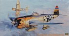 Wwii Us Air Force P-47D Thunderbolt Hasegawa 1:48 Plastic Model Airplane Kit