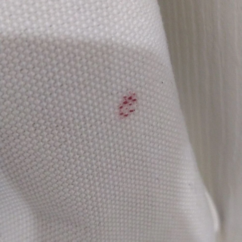 Samantha Thavasa DELUXE наплечная сумка белый холст 2 пути сумка с короткими ручками Дамская сумка - Изображение 4 из 4