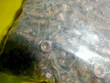 QTY 200 Socket Head Cap Screw 6/32 x 5/8"   Allen Black Oxide 0722002325