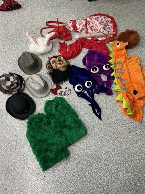 18 Piece Costume, Dress-Up, Character, Halloween Masquerade