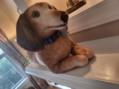 Cuddle Clones Dachshund Dog Plush Lifelike Named Charlie Top Paw Dog Collar HTF