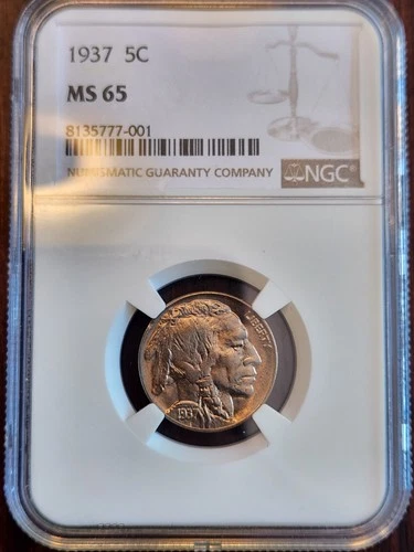 1937 P Buffalo Nickel. NGC Ms65. Nice Coin!