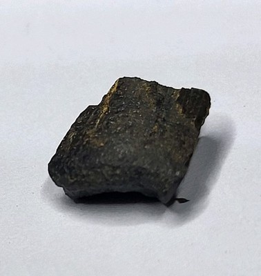 Tyrannosaurier Zahnfragment zwei Medizin Fm Montana Dinosaurier Fossil Ref594