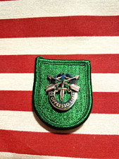 10TH SPECIAL FORCES GROUP BERET FLASH PATCH WITH CREST DUI HM G23