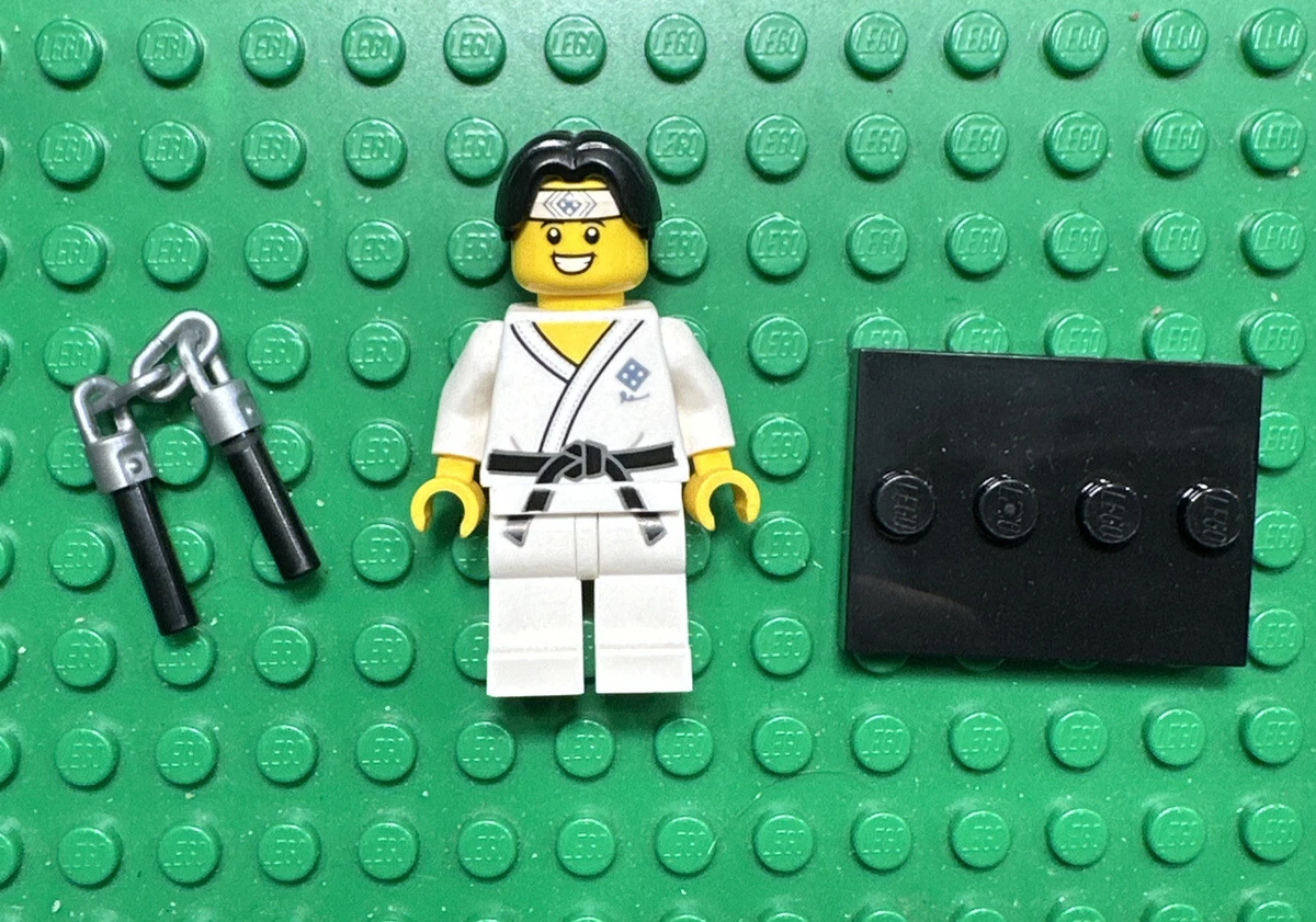 Lego karate best sale kid