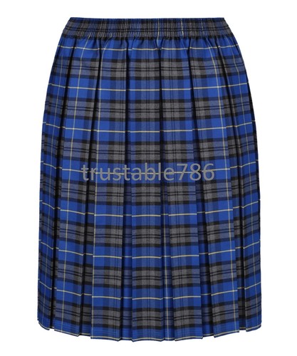 red and blue tartan skirt