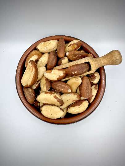 ブリエスタ　BRIESTA NUTS OUTDOOR 【VIVID】 BRIESTA vivid | NUTS OUTDOOR