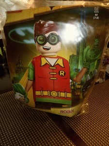 lego batman robin costume