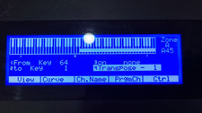 Modulo Display LCD Blu per Roland A50 / A80 Ricambio Riparazione Schermo!