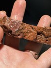 Agatized Piece Of Petrified Wood Lot A2 — photo 2