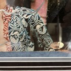 Foto 3 di 6