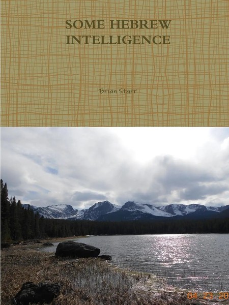 Brian Starr | Some Hebrew Intelligence | Taschenbuch | Englisch (2014)-image