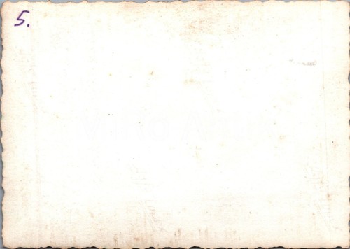 4 x Foto, Zistersdorf - Baracke Rommel 1943, Österreich XT55213 - 第 5/8 張圖片