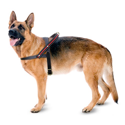 Greater Control Leather Large Dog Harness with Handle Training Walking  Strap XXL
