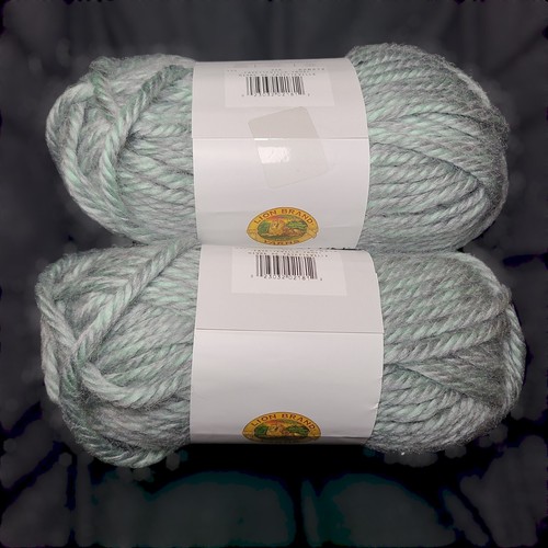 (Lote de 2) Piel de hilo Lion Brand Hometown 4 oz SB 6 Fayetteville azul escarcha - Imagen 5 de 5