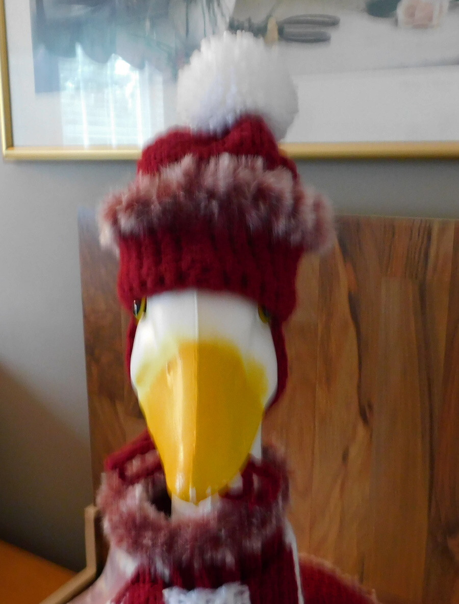 Goose Sweater Crochet, Outdoor Decor, Goose Outfit, Goose Clothes, Goose Hat, Bu