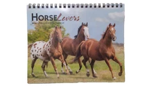 Brown Trout Horse Lovers 2024 Double-View Desk Calendar